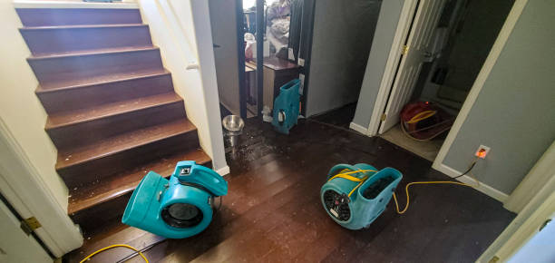 Best Water damage repair service  in Spring House, PA