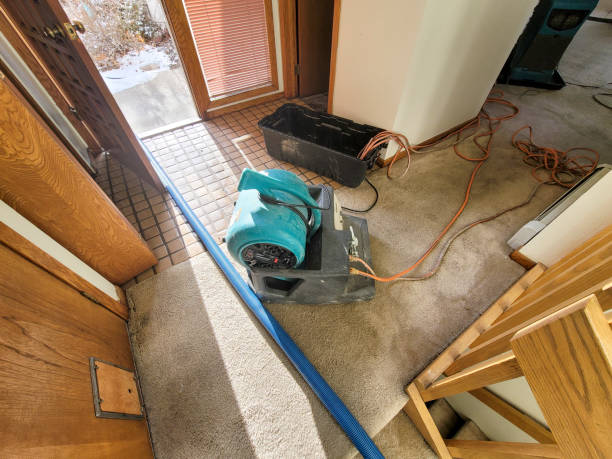 Best Flooded house restoration  in Spring House, PA