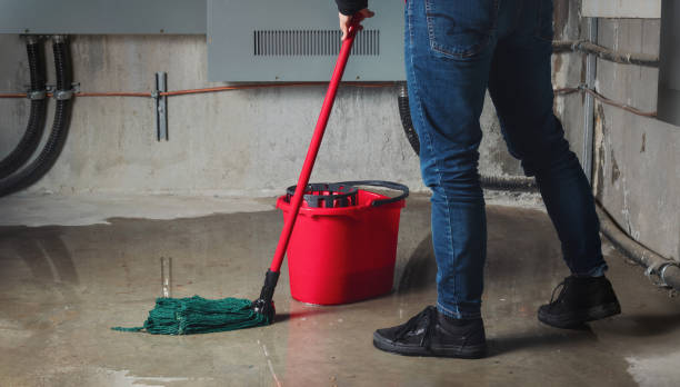 Best Local water damage restoration  in Spring House, PA