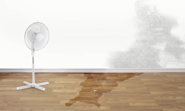 Best Water damage contractors near me  in Spring House, PA