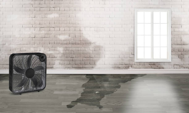 Best 24/7 water damage repair  in Spring House, PA