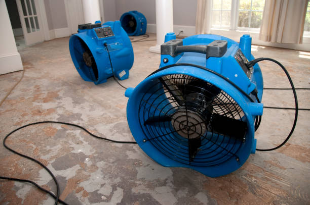 Best Basement water damage restoration  in Spring House, PA