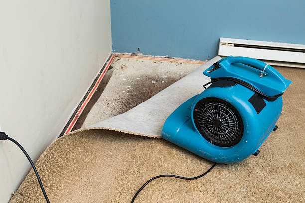 Best Professional water damage repair  in Spring House, PA